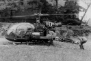 1964